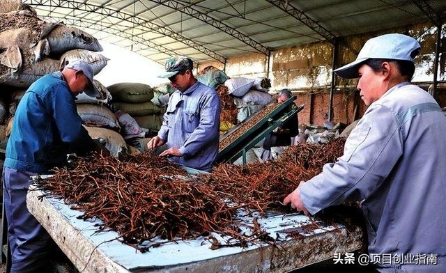 适合年轻人白手起家的冷门小生意，做好发家致富不难插图2