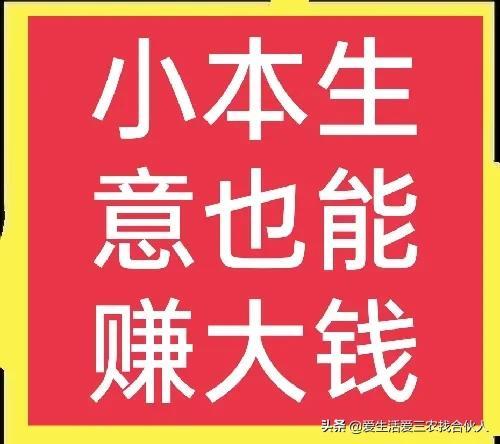 2022年投资小利润高的小生意，失业后做什么小本生意好-千一副业