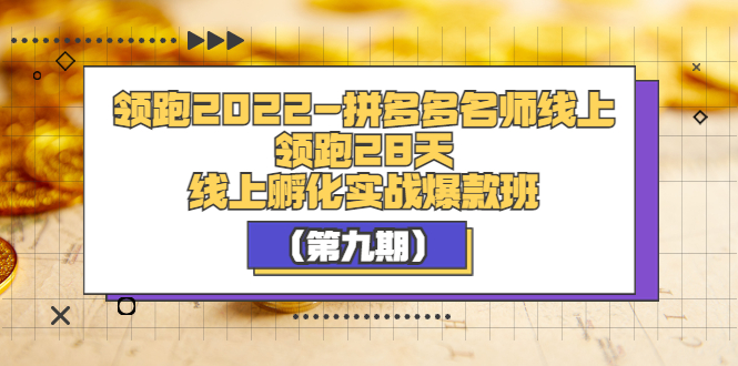 【副业项目3821期】拼多多名师线上领跑28天，拼多多线上孵化实操爆款班（第九期）-千一副业