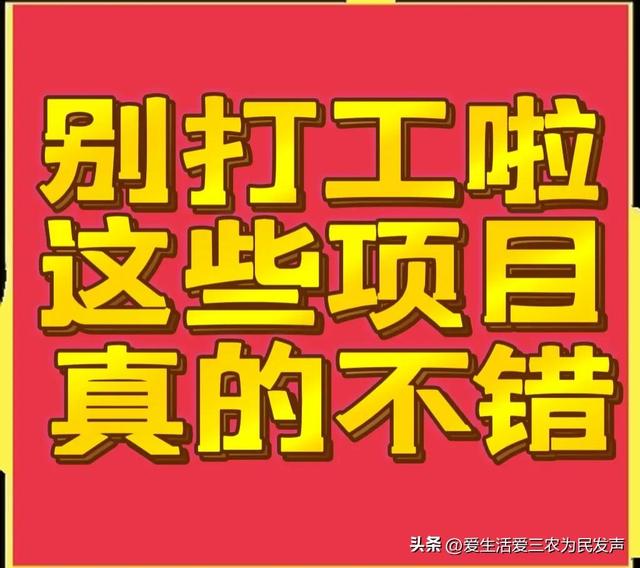 比打工强的小生意，农村小项目有哪些-千一副业