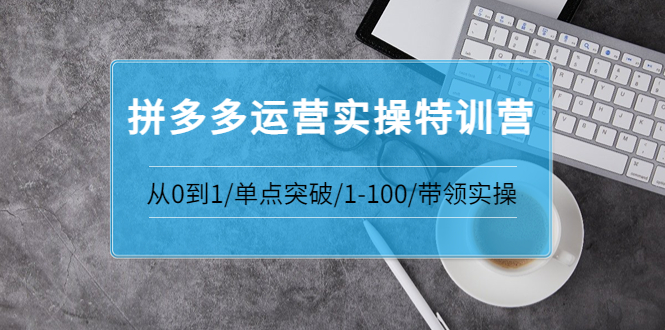 【副业项目3863期】拼多多运营实操特训营：拼多多直通车进阶优化技巧，拼多多如何操作利润最大化-千一副业