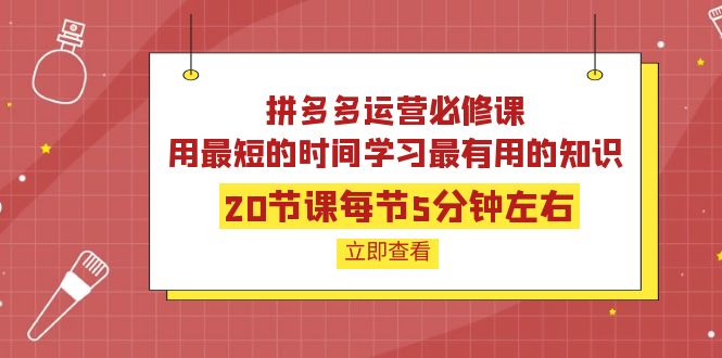 【副业项目4189期】拼多多运营必修课：20节课每节5分钟左右，用最短的时间学习最有用的知识-千一副业