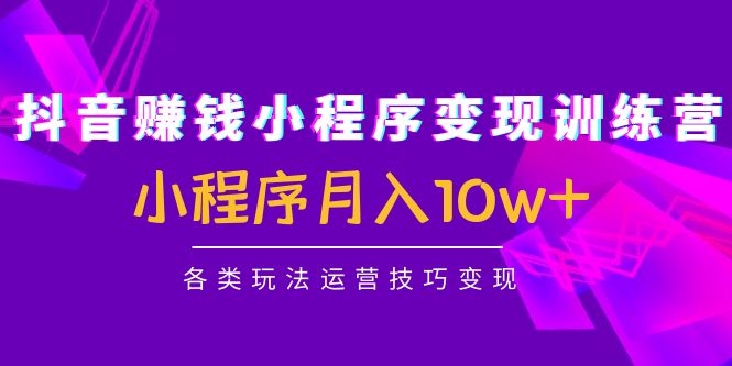 【副业项目4765期】抖音赚钱小程序变现训练营：小程序月入10w+各类玩法运营技巧变现-千一副业