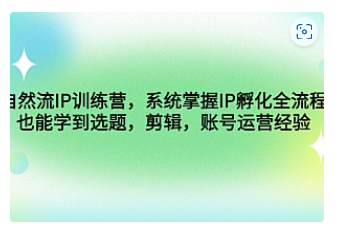 【副业项目4920期】自然流IP训练营，系统掌握IP孵化全流程，也能学到选题，剪辑，账号运营经验-千一副业