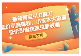 【副业项目4943期】最新淘宝引力魔方低价引流实操：小成本大流量，低价引流快速拉新收割-千一副业