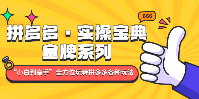 【副业项目5130期】拼多多·实操宝典：金牌系列“小白到高手”带你全方位玩转拼多多各种玩法-千一副业