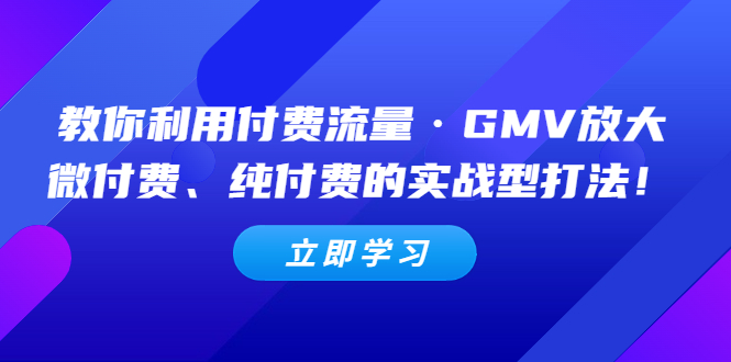 【副业项目5265期】教你利用付费流量·GMV放大，微付费、纯付费的实战型打法-千一副业