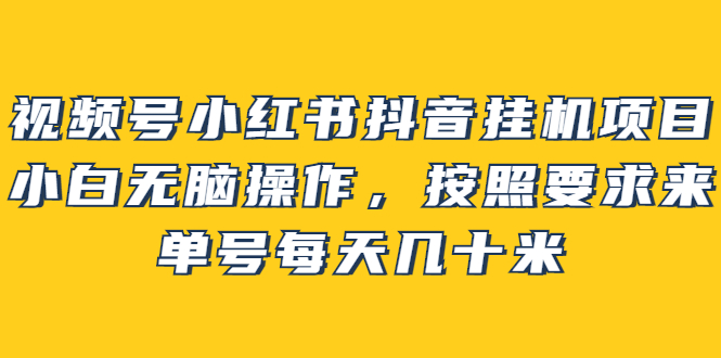 【副业项目2904期】视频号小红书抖音挂机项目，小白无脑操作，按照要求来，单号每天几十米-千一副业