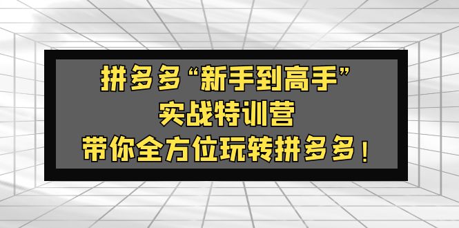 【副业项目5317期】拼多多“新手到高手”实战特训营：带你全方位玩转拼多多-千一副业