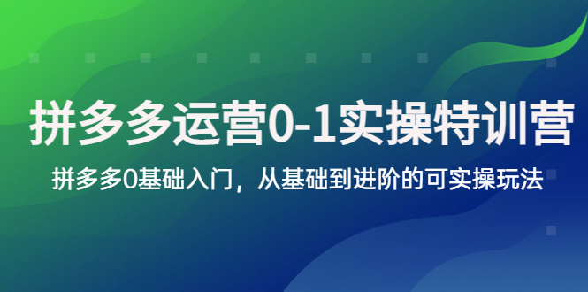 【副业项目5801期】拼多多-运营0-1实操训练营，拼多多0基础入门，从基础到进阶的可实操玩法-千一副业