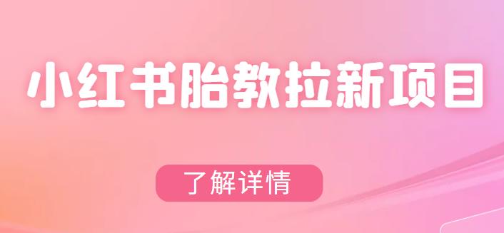 【副业项目6099期】小红书胎教网盘拉新项目，可在私域变现两次（作品制作教程+素材）-千一副业