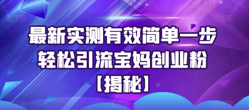 【副业项目6204期】最新实测有效简单一步轻松引流宝妈创业粉【揭秘】-千一副业