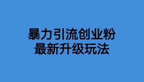 【副业项目6372期】价值1980一千个野路子暴力引流最新升级玩法【揭秘】-千一副业