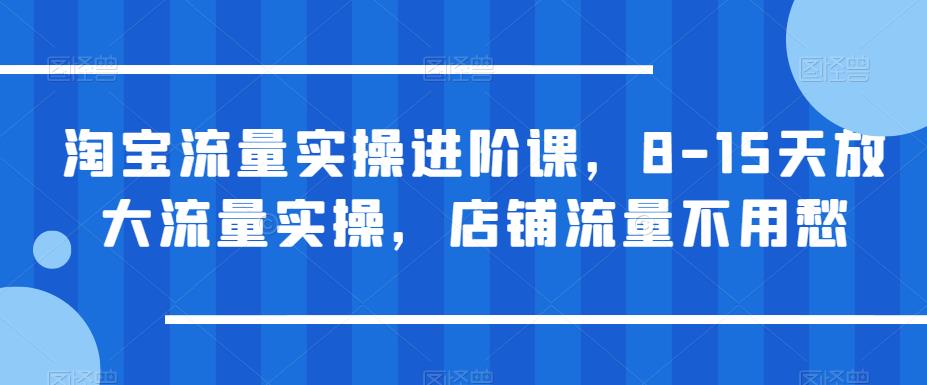 【副业项目6415期】淘宝流量实操进阶课，8-15天放大流量实操，店铺流量不用愁-千一副业