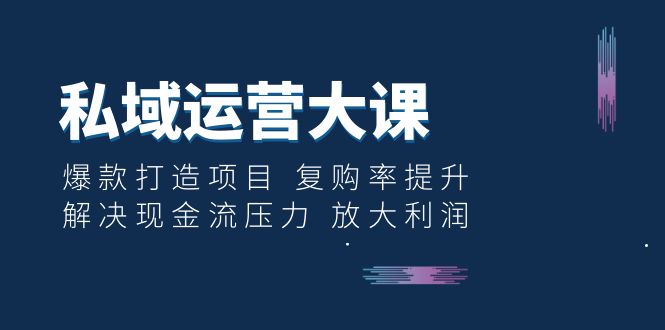 【副业项目6574期】私域运营大课：爆款打造项目 复购率提升 解决现金流压力 放大利润-千一副业