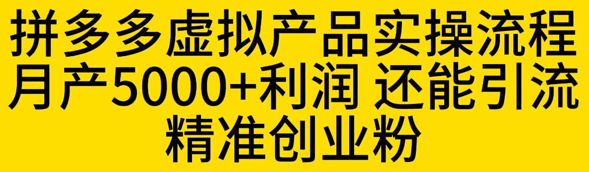 【副业项目6569期】拼多多虚拟产品实操流程，月产5000+利润，还能引流精准创业粉-千一副业