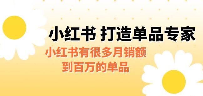 【副业项目6703期】某公众号付费文章《小红书打造单品专家》小红书有很多月销额到百万的单品-千一副业