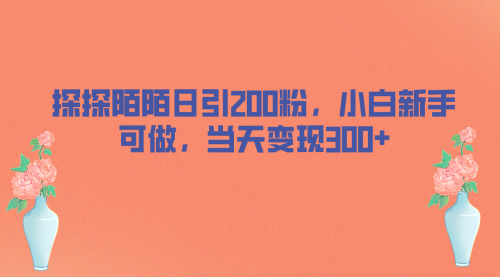 【副业项目7026期】探探陌陌日引200粉，小白新手可做，当天就能变现300+-千一副业