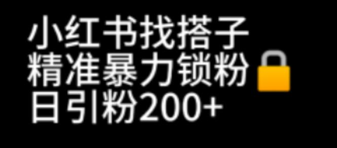 【副业项目7040期】小红书找搭子暴力精准锁粉+引流日引200+精准粉-千一副业