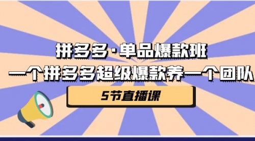 【副业项目第7171期】拼多多·单品爆款班，一个拼多多超级爆款养一个团队-千一副业