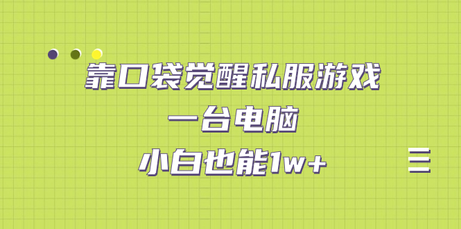 【副业项目7248期】靠口袋觉醒私服游戏，一台电脑，小白也能1w+（教程+工具+资料）-千一副业