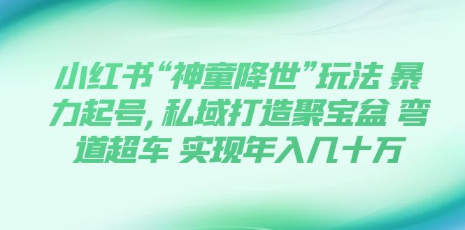 【副业项目7983期】小红书“神童降世”玩法 暴力起号,私域打造聚宝盆-千一副业