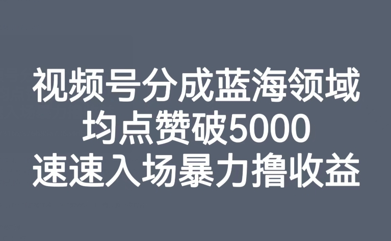 【副业项目8023期】视频号分成蓝海领域，均点赞破5000，速速入场暴力撸收益-千一副业