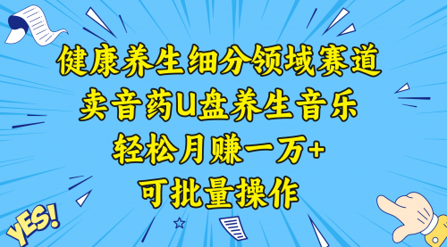 【副业项目8638期】健康养生细分领域赛道，卖音药U盘养生音乐，轻松月赚一万+，可批量操作-千一副业