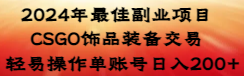 【副业8982期】2024年最佳副业项目 CSGO饰品装备交易 轻易操作单账号日入200+-千一副业