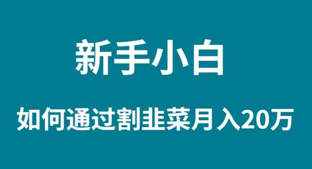 新手小白如何通过割韭菜月入 20W-千一副业