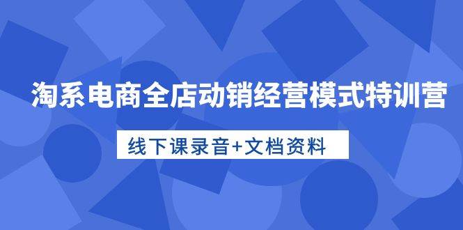 淘系电商全店动销经营模式特训营，线下课录音+文档资料-千一副业