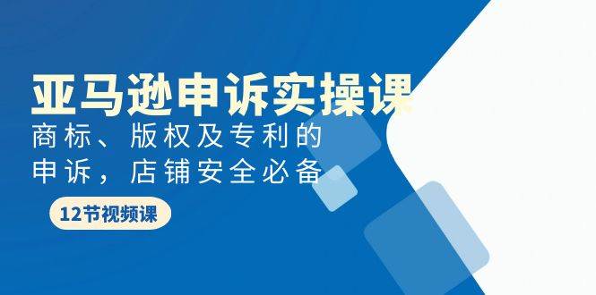 亚马逊-申诉实战课，商标、版权及专利的申诉，店铺安全必备-千一副业