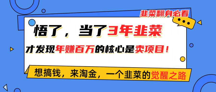 悟了，当了3年韭菜，才发现网赚圈年赚100万的核心是卖项目，含泪分享！-千一副业