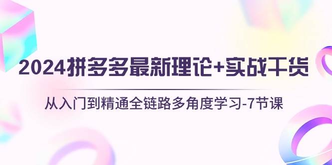 2024拼多多 最新理论+实战干货，从入门到精通全链路多角度学习-7节课-千一副业