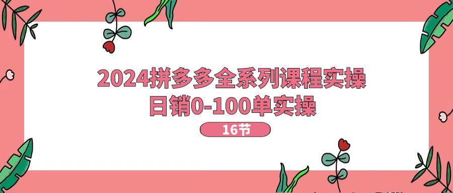 2024拼多多全系列课程实操，日销0-100单实操【16节课】-千一副业