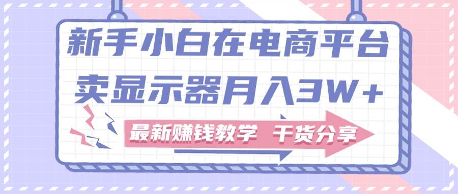 新手小白如何做到在电商平台卖显示器月入3W+，最新赚钱教学干货分享-千一副业