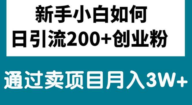 新手小白日引流200+创业粉,通过卖项目月入3W+-千一副业