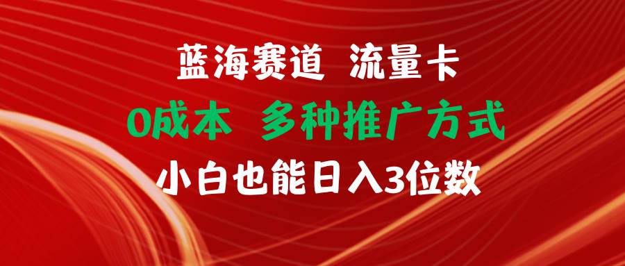 蓝海赛道 流量卡 0成本 小白也能日入三位数-千一副业